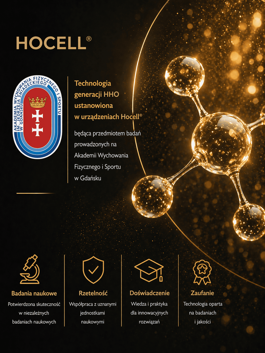 Hocell-noleggio-generatore